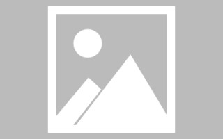 肥城优秀动态网页设计模板（动态网页设计教程）